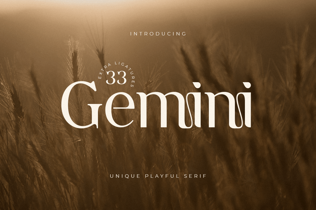 gemini_unique_playful_serif_1_72ffQKyf9v.png