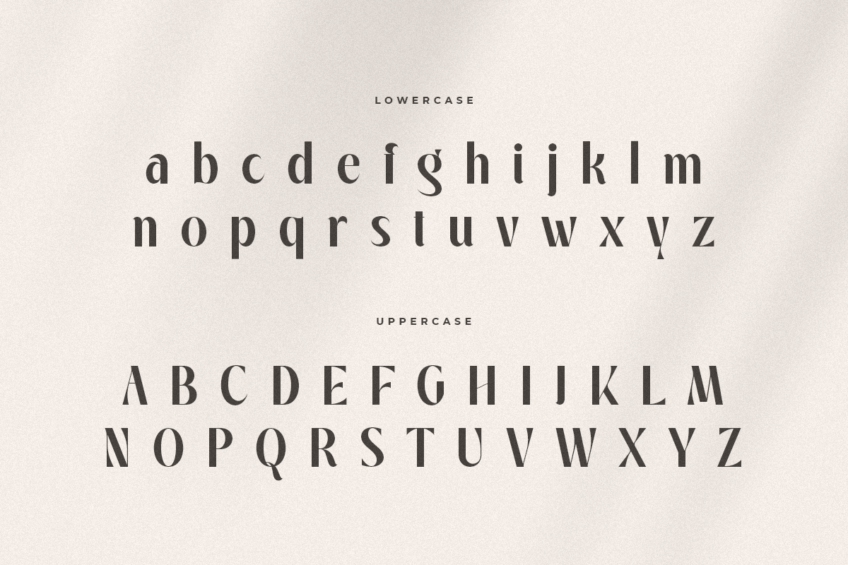 manyfit_classy_elegant_display_font_14_q5tHrvKRcw.png