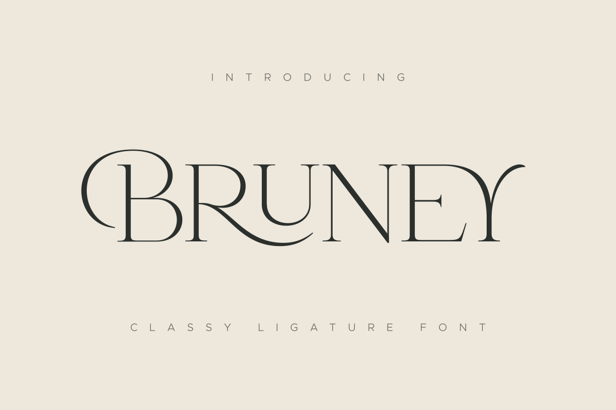 bruney_classy_ligature_font_19_wzzg0n3W4l.png