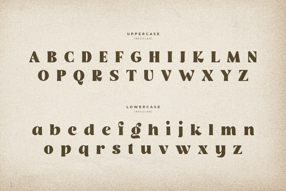 rogue_retro_vintage_classy_serif_14_zvGL5dHNwE.png