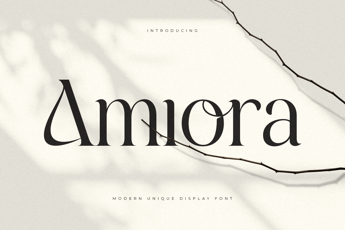 amiora_modern_unique_display_font_1_3D2BONW8S2.png