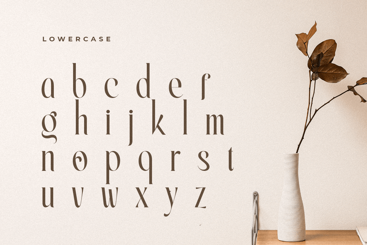 erlangga_elegant_beauty_serif_font_13_0fjwyaamAJ.png