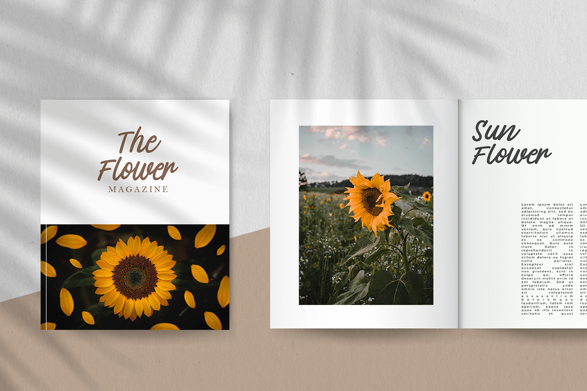 artboard_5_Xa6040iI0L.png