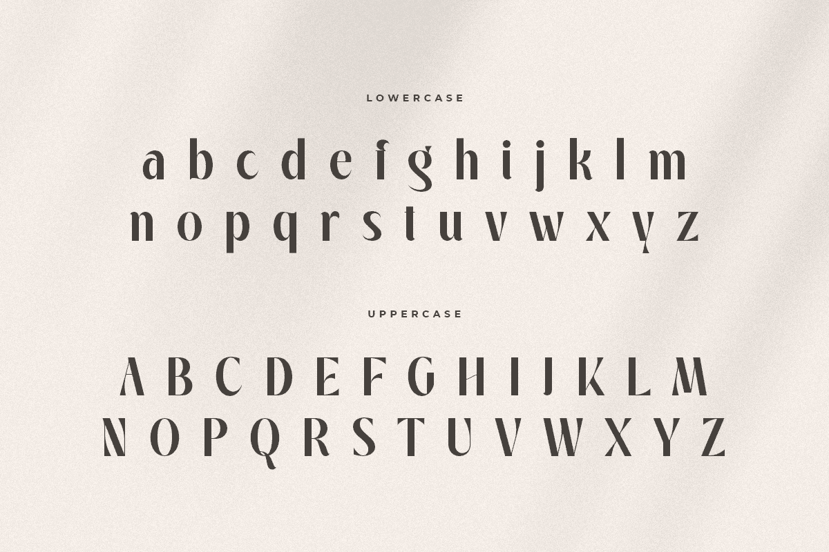 manyfit_classy_elegant_display_font_14_q5tHrvKRcw.png