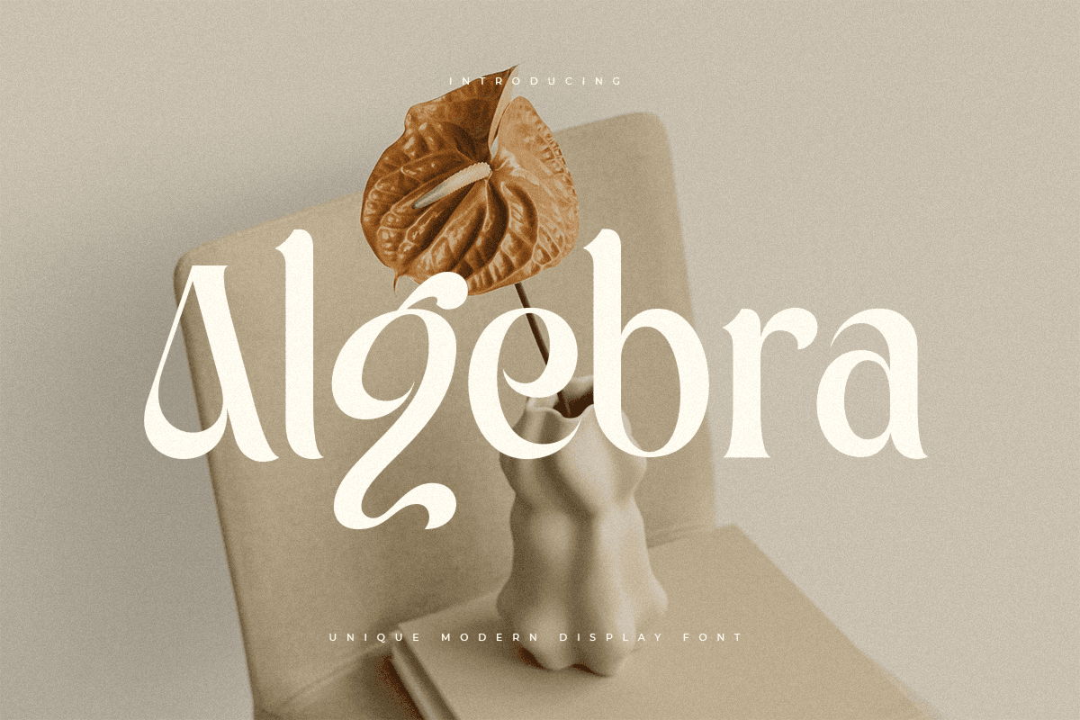 algebra_unique_modern_display_font_1_shSXGHE1Us.png