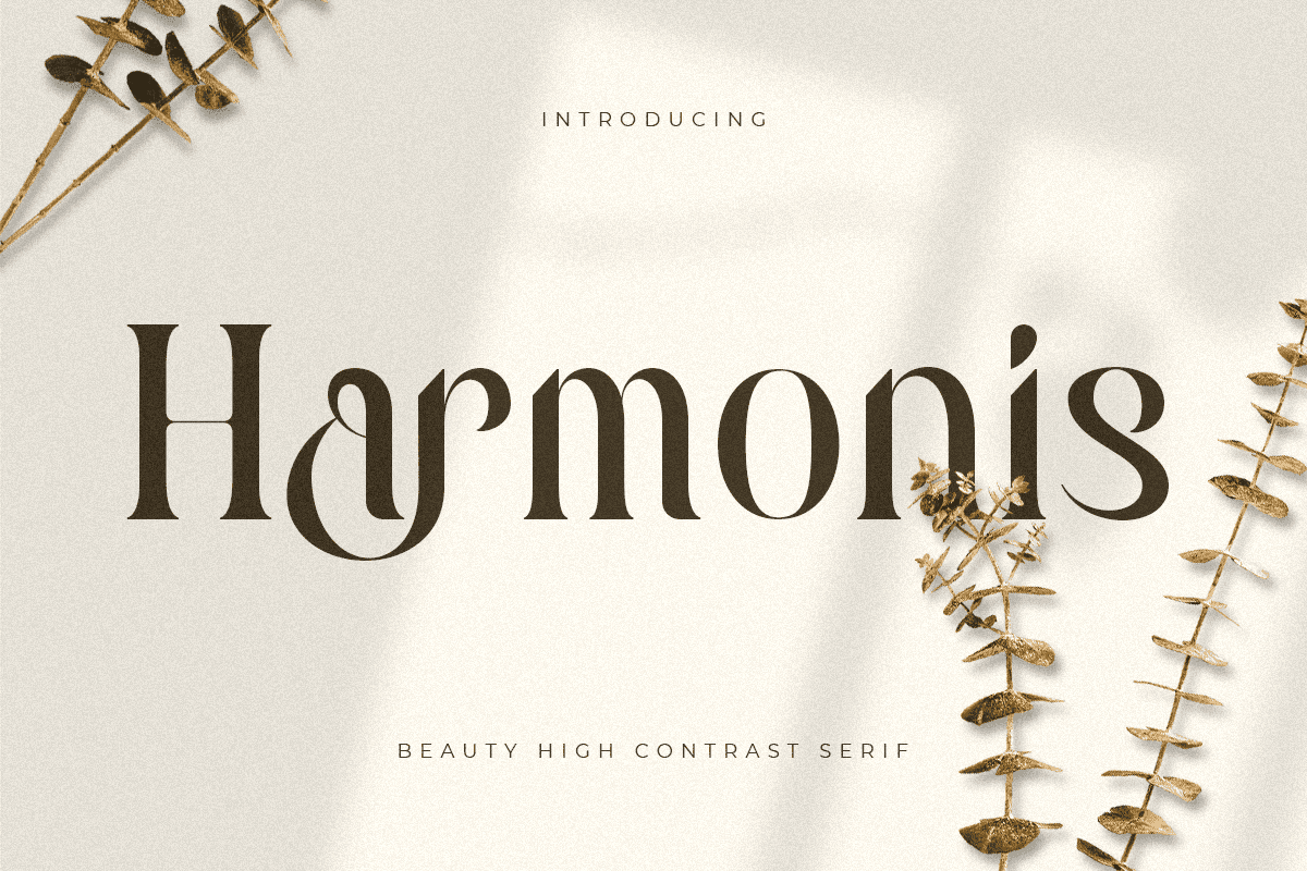 harmonis_beauty_high_contrast_serif_1_szAB2dtTyY.png