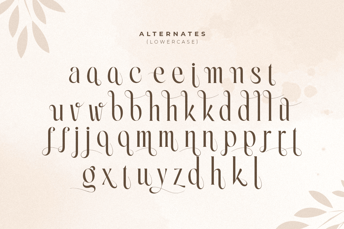 erlangga_elegant_beauty_serif_font_12_vVu7oluQoy.png