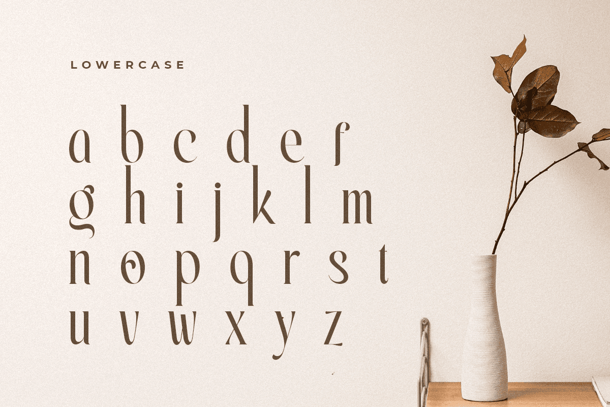 erlangga_elegant_beauty_serif_font_13_0fjwyaamAJ.png