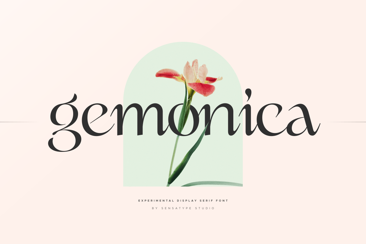 gemonica_experimental_display_serif_font_17_oyIr6Als94.png