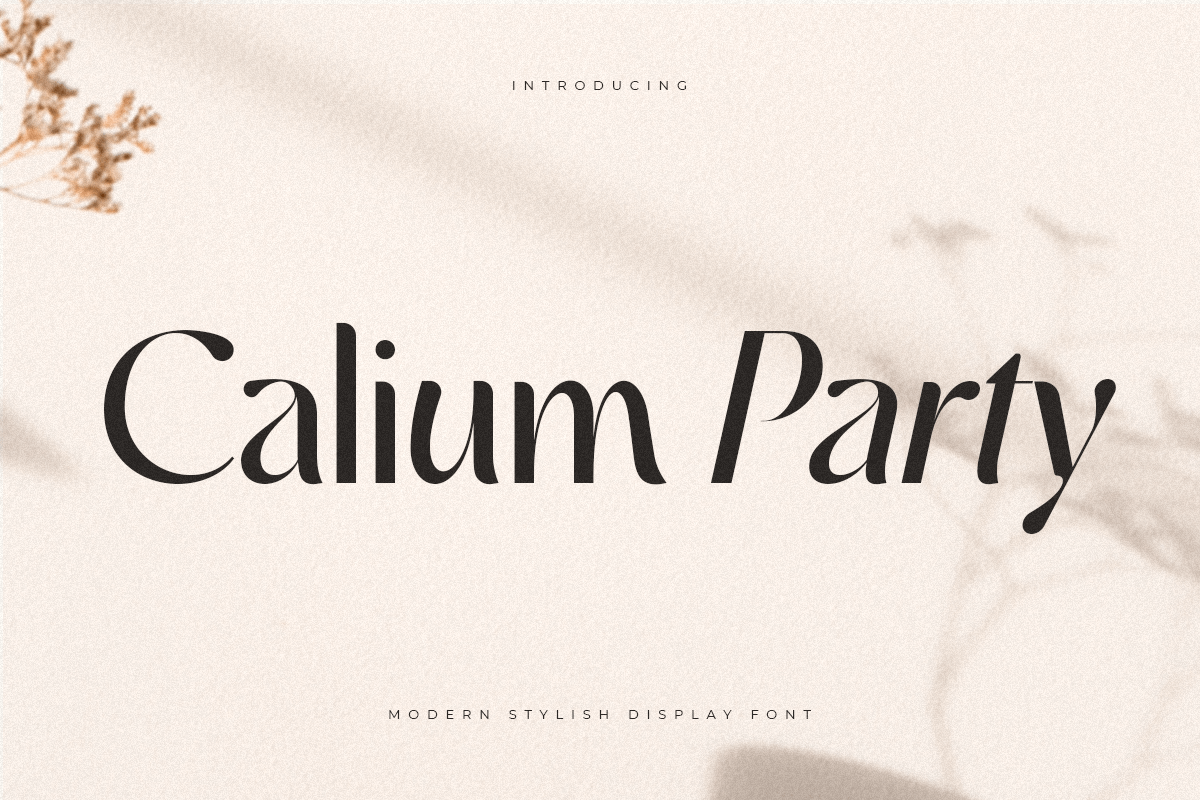 calium_party_modern_stylish_display_font_1_FzM30YS4s5.png