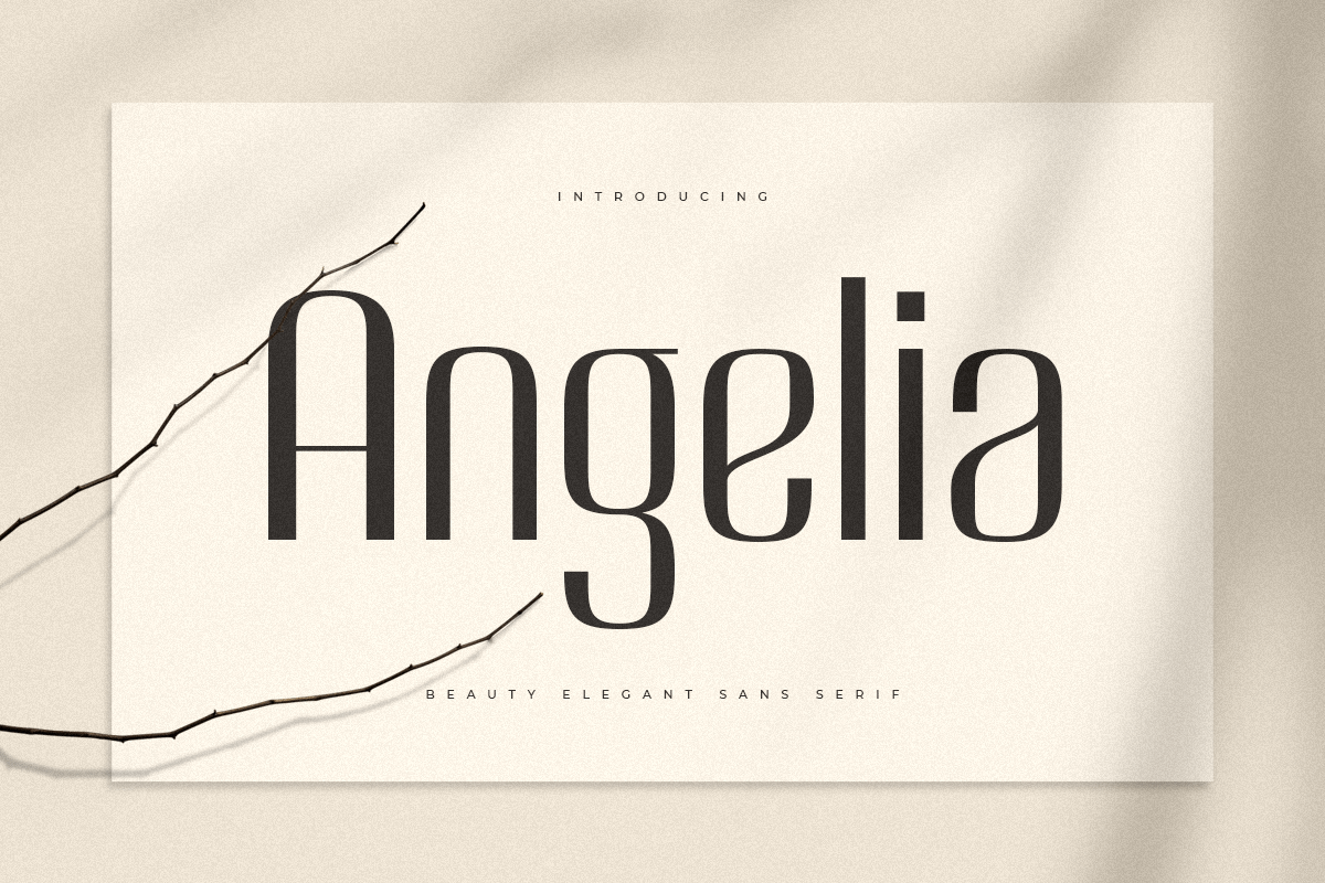 angelia_beauty_elegant_sans_serif_1_ilOUjqvB0D.png