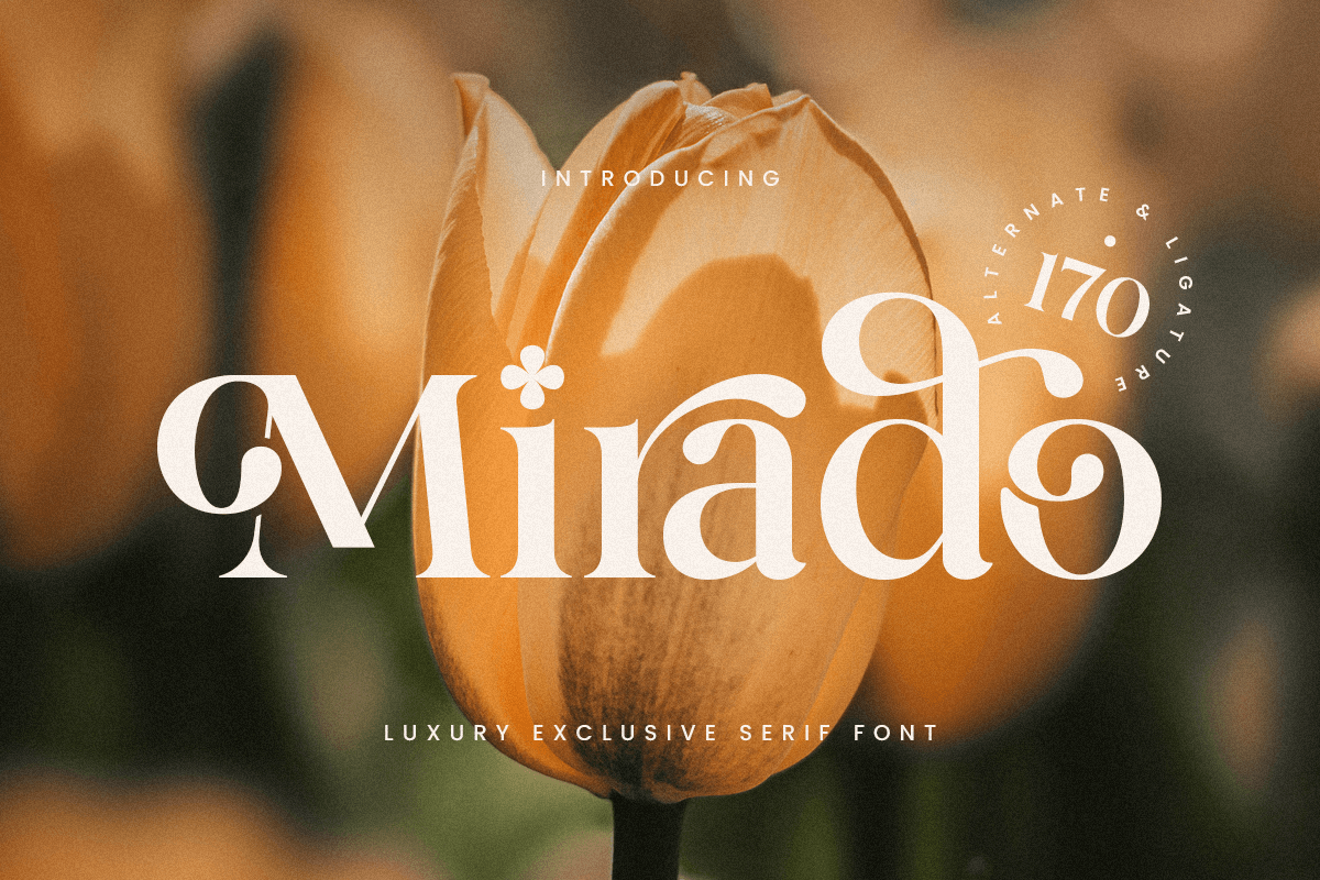 mirado_luxury_exclusive_serif_font_1_geNv8gTkDc.png
