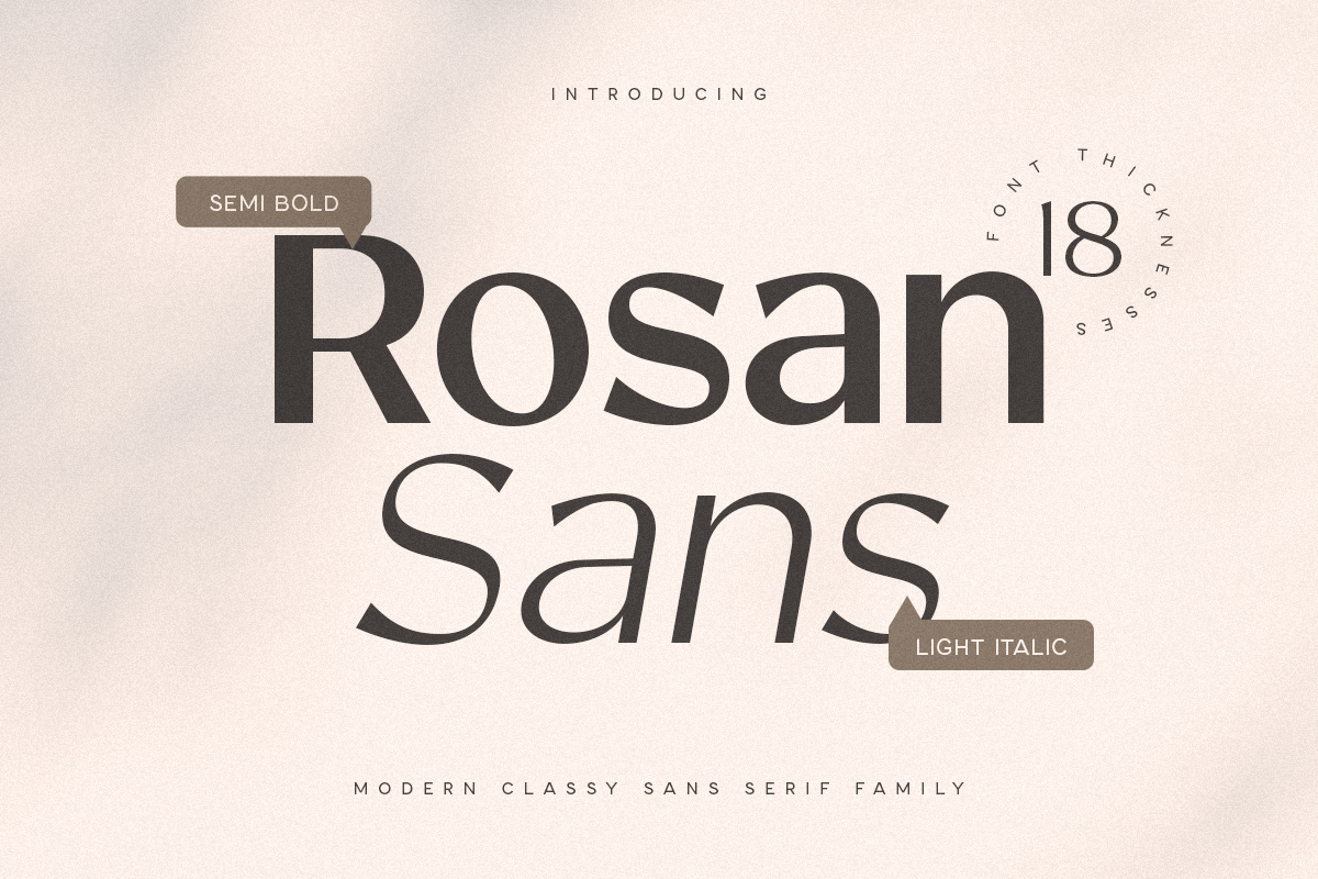 rosan_sans_1_UGDc3lppCw.png