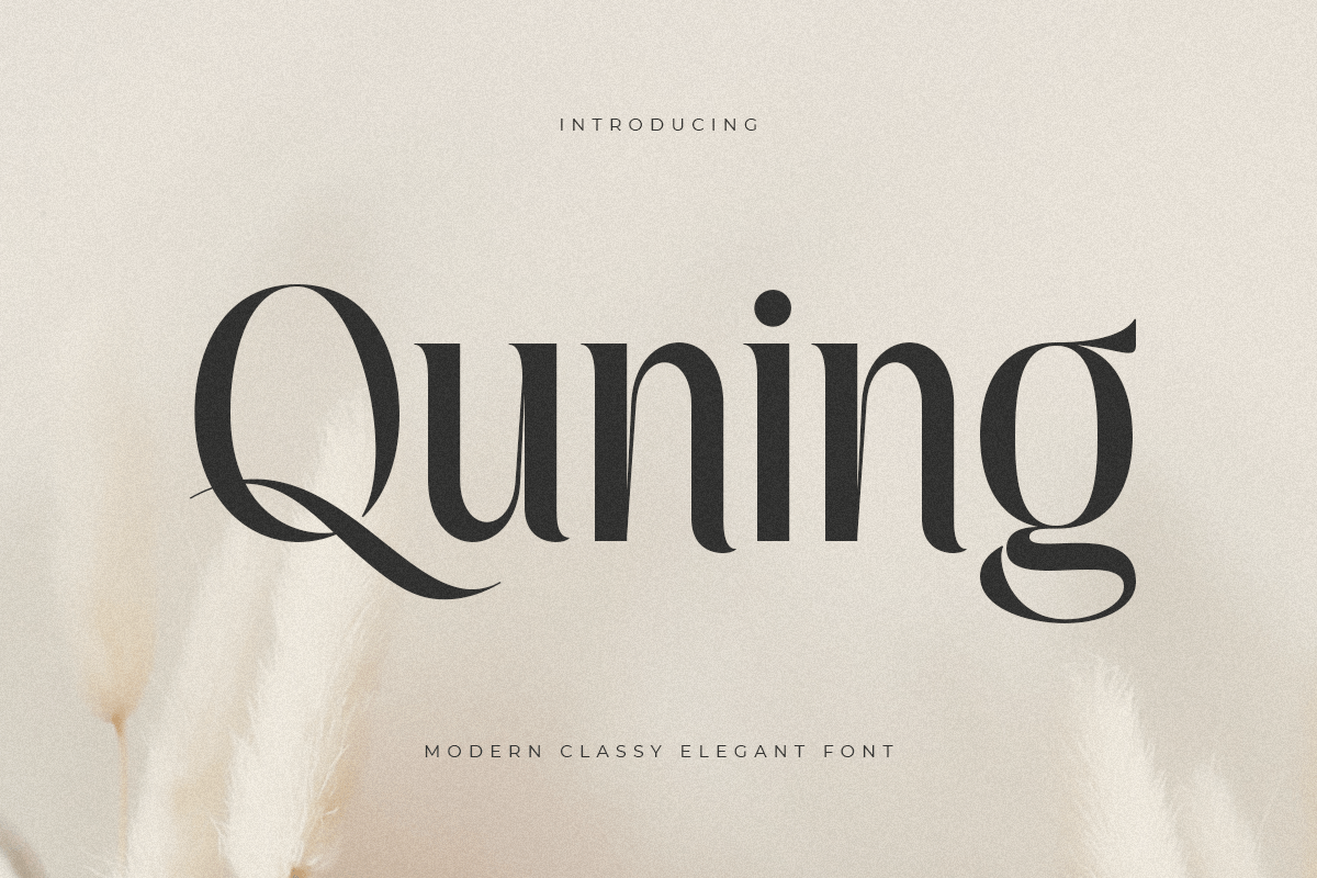 quning_modern_classy_elegant_font_1_neP1LrpUFp.png