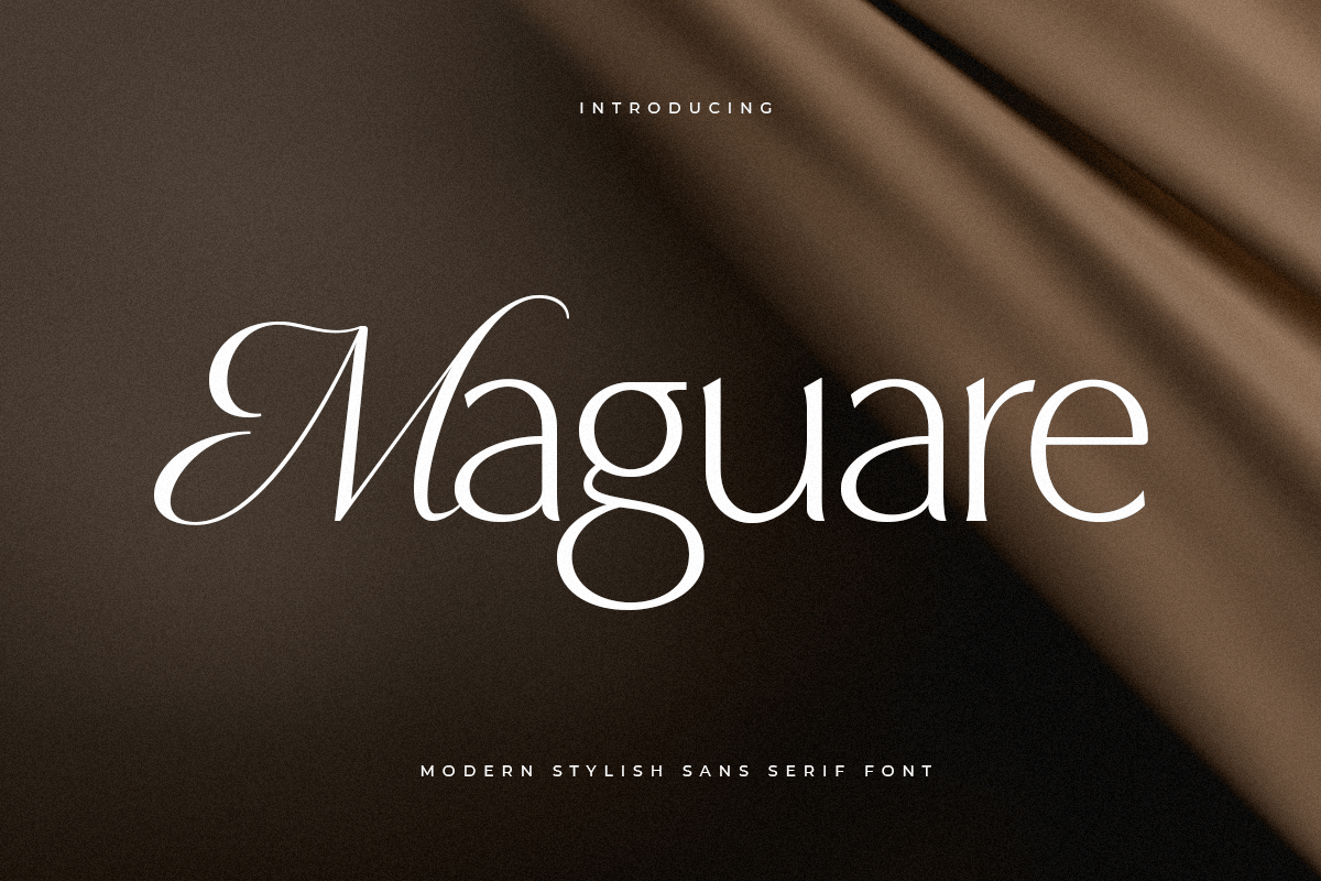 maguare_modern_stylish_serif_font_1_hckTb3LkKQ.png