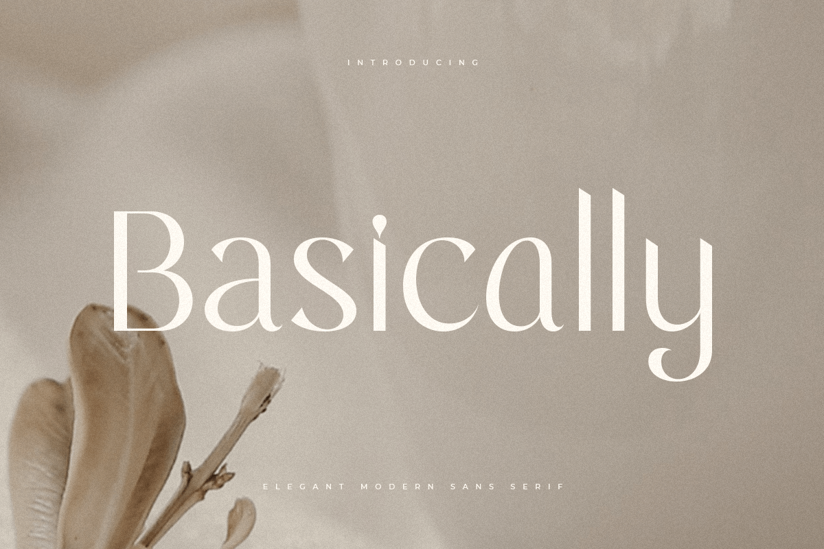 basically_elegant_modern_sans_serif_1_sWE5QktVQx.png