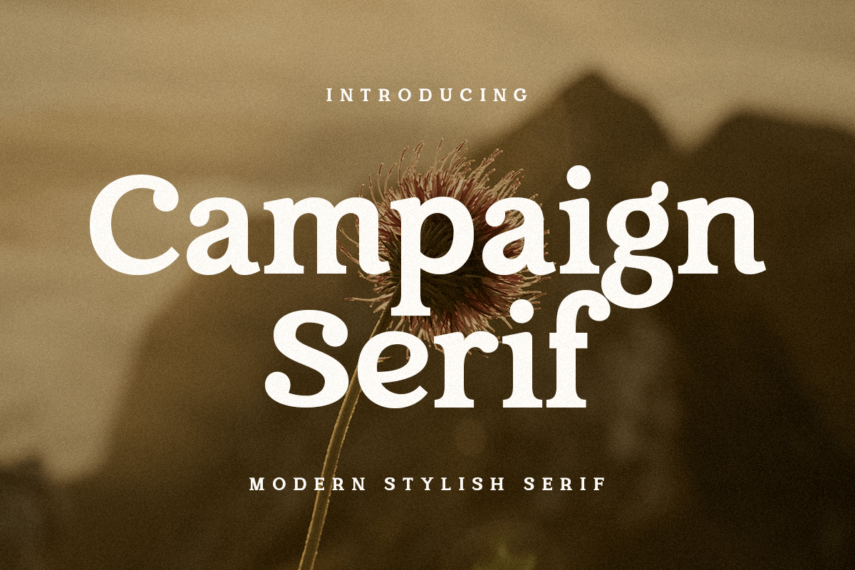 campaign_serif_modern_stylish_font_1_WYu6UFaySy.png