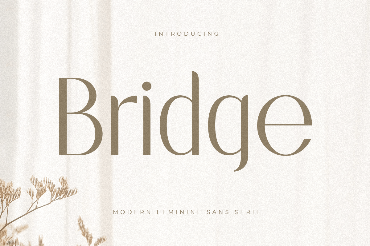 bridge_modern_feminine_sans_serif_1_UVLkWKCnRB.png