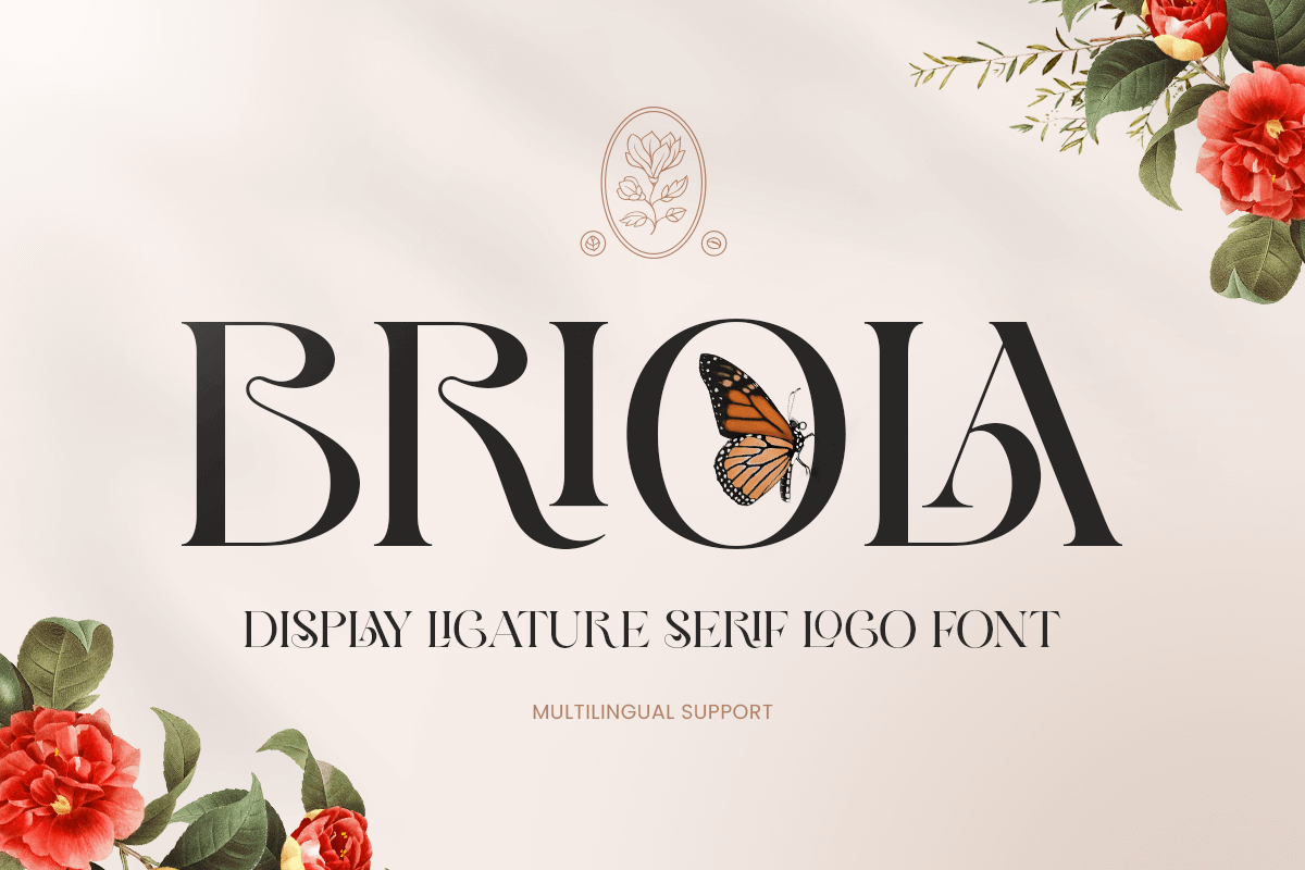 briola_display_ligature_serif_logo_font_1_hw1ac3kfjj.png