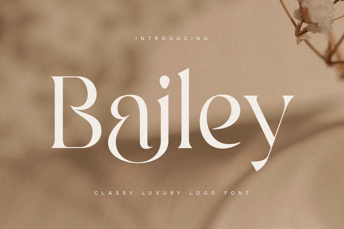 bailey_classy_luxury_logo_font_1_fAtXWLJZKi.png