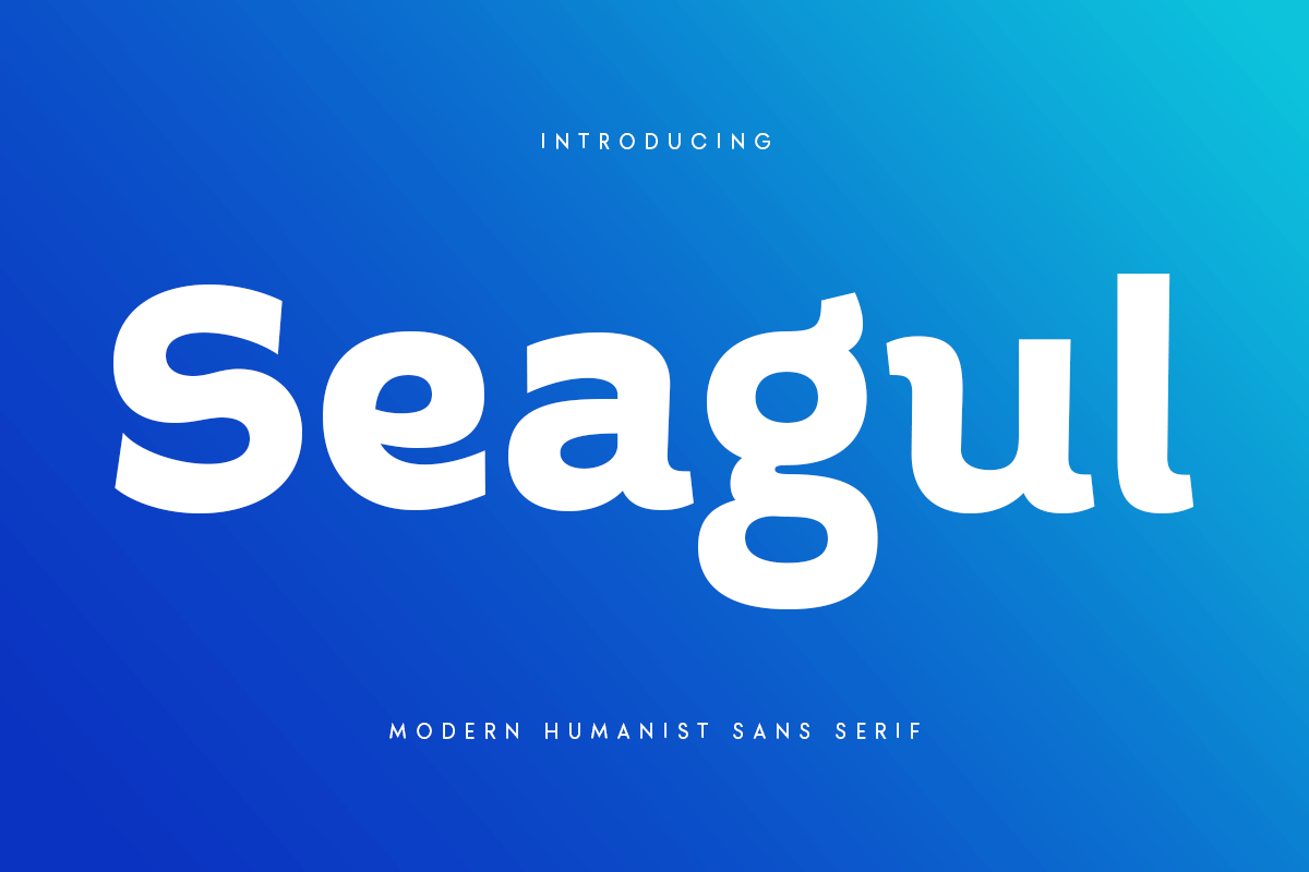 seagul_modern_humanist_sans_serif_16_4QCOqiQyjj.png
