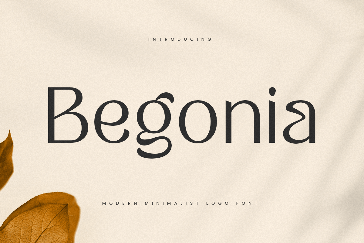 begonia_modern_minimalist_logo_font_1_qVhalbjmZx.png