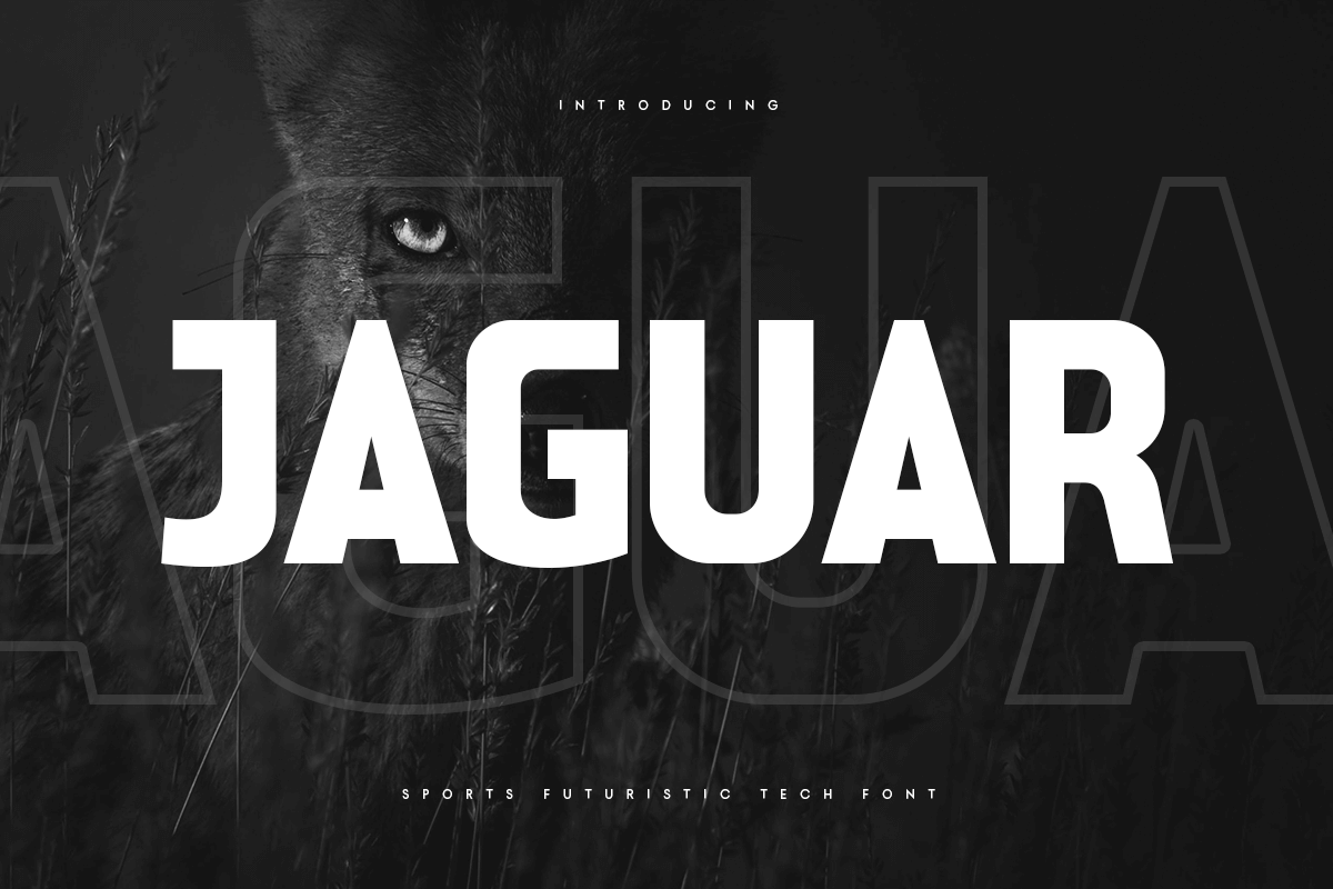 jaguar_sports_futuristic_tech_font_1_WRnykyKw5q.png