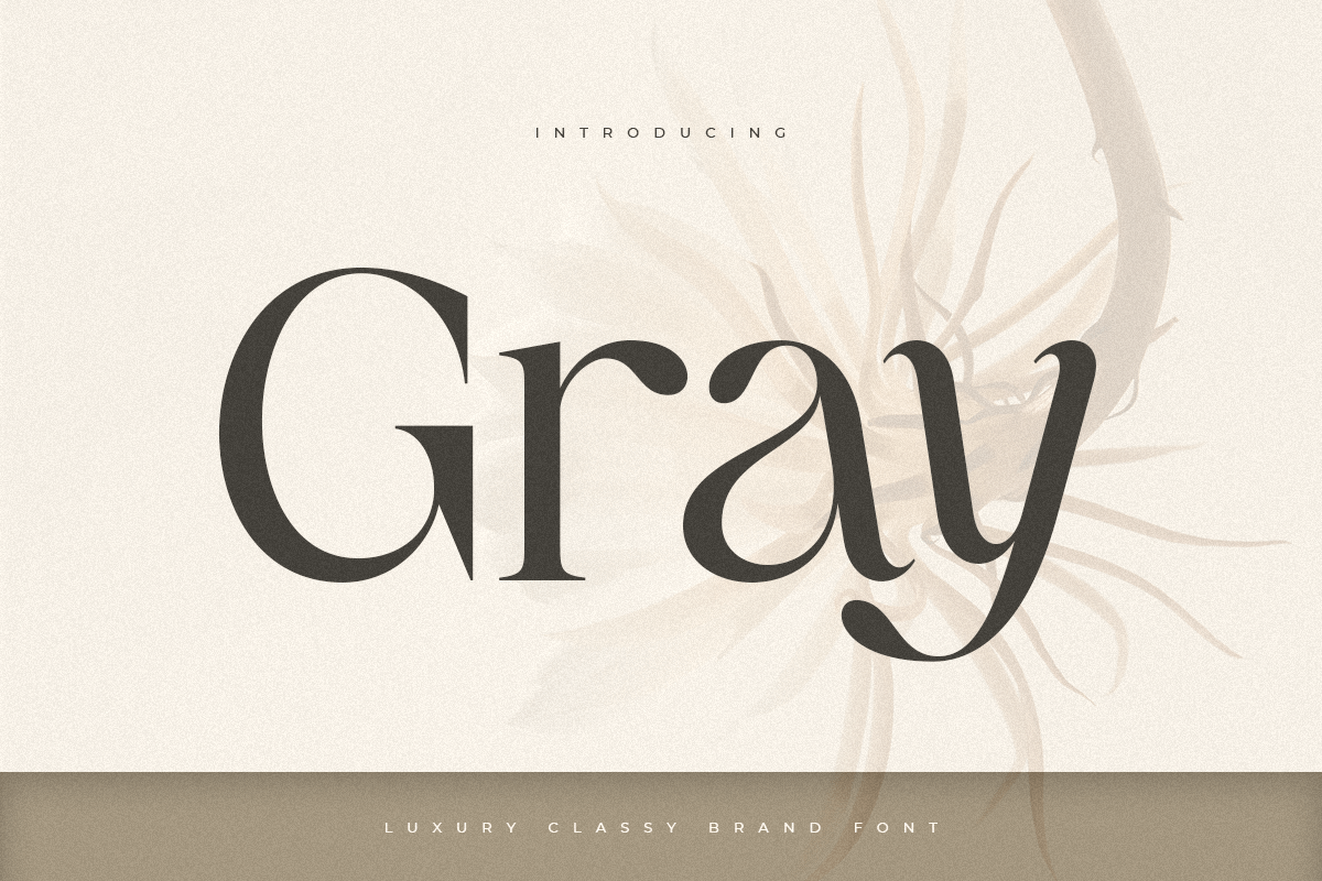 gray_luxury_classy_brand_font_1_84DStemtmS.png