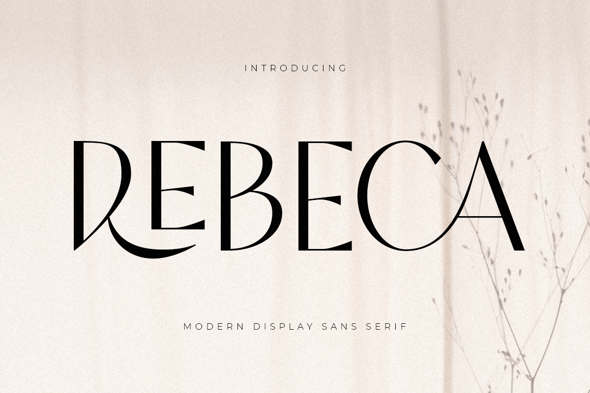 rebeca_modern_display_sans_serif_1_DmjmreNxFu.png