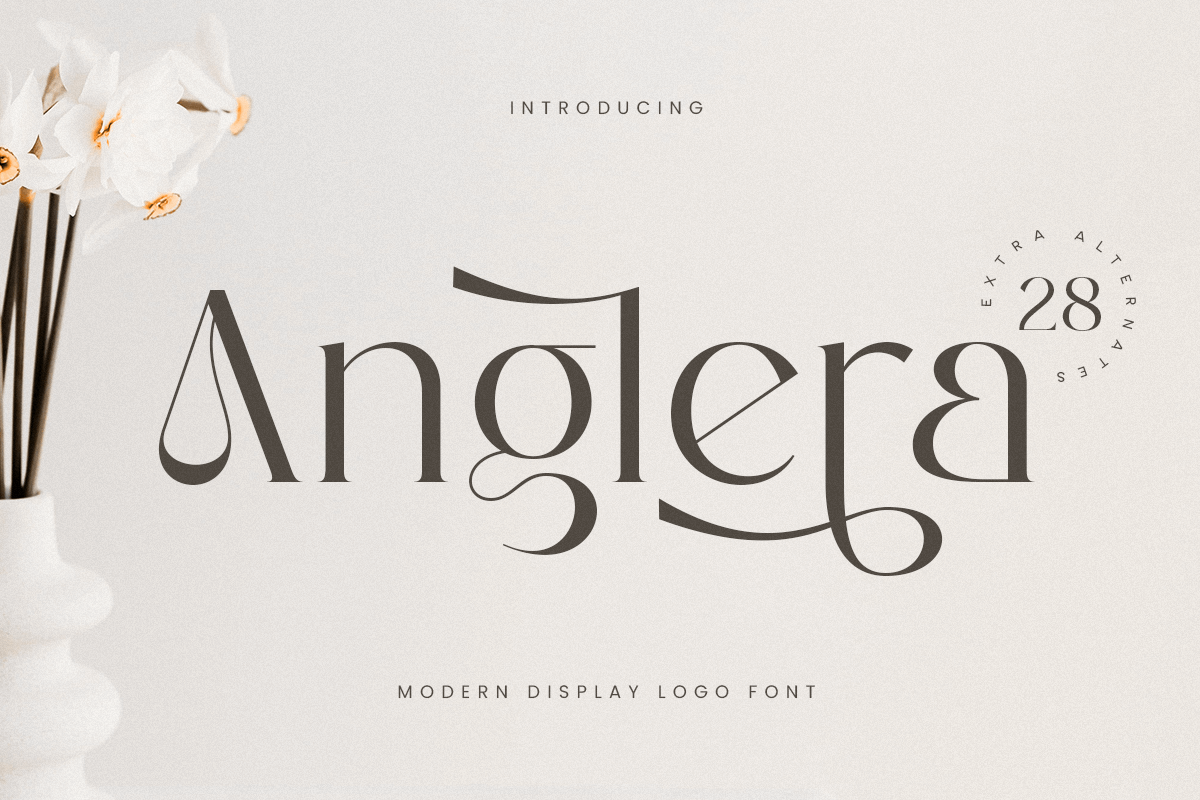 anglera_modern_display_logo_font_1_Ca4RDCTlse.png