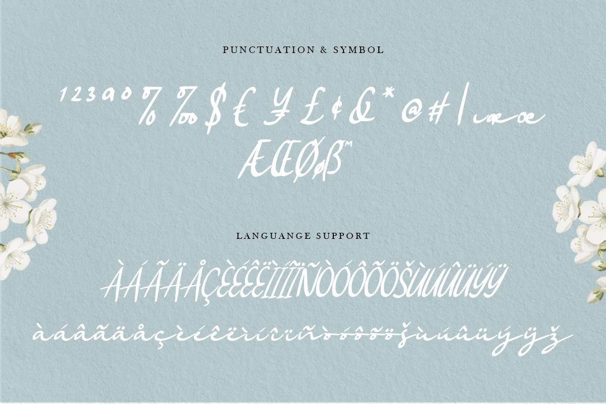 balqis_modern_script_font_4_KtJ5XyOweX.png