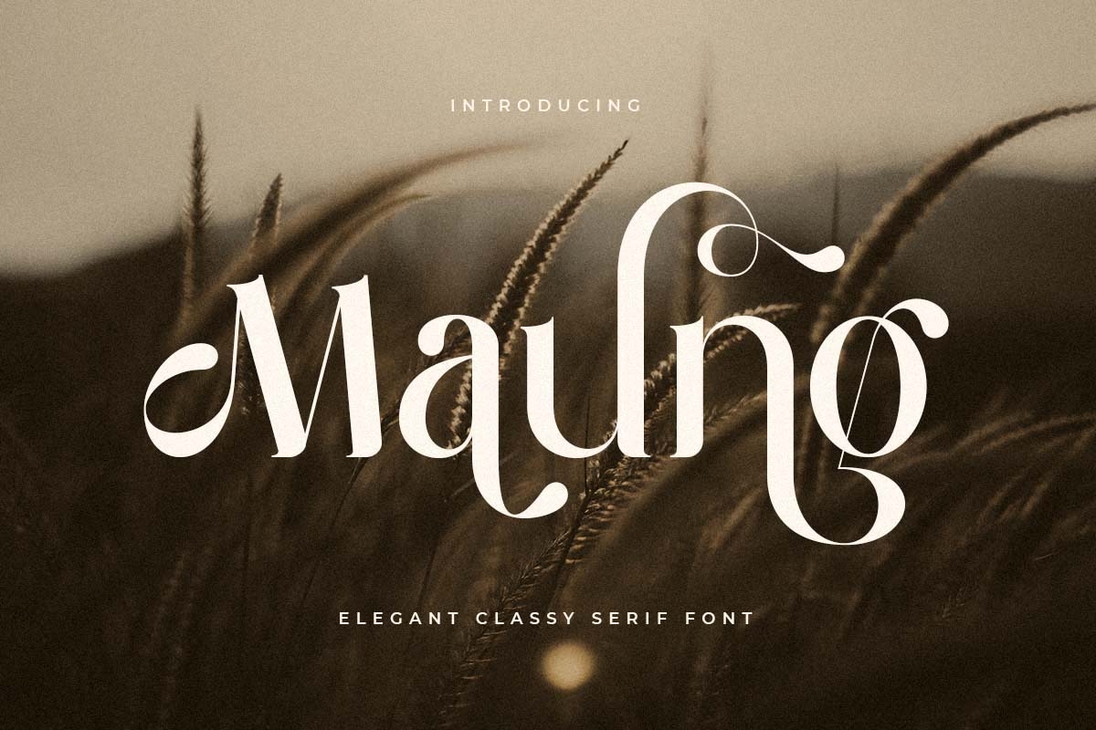 maung_elegant_classy_serif_font_1_JLjY0XgYnG.jpg