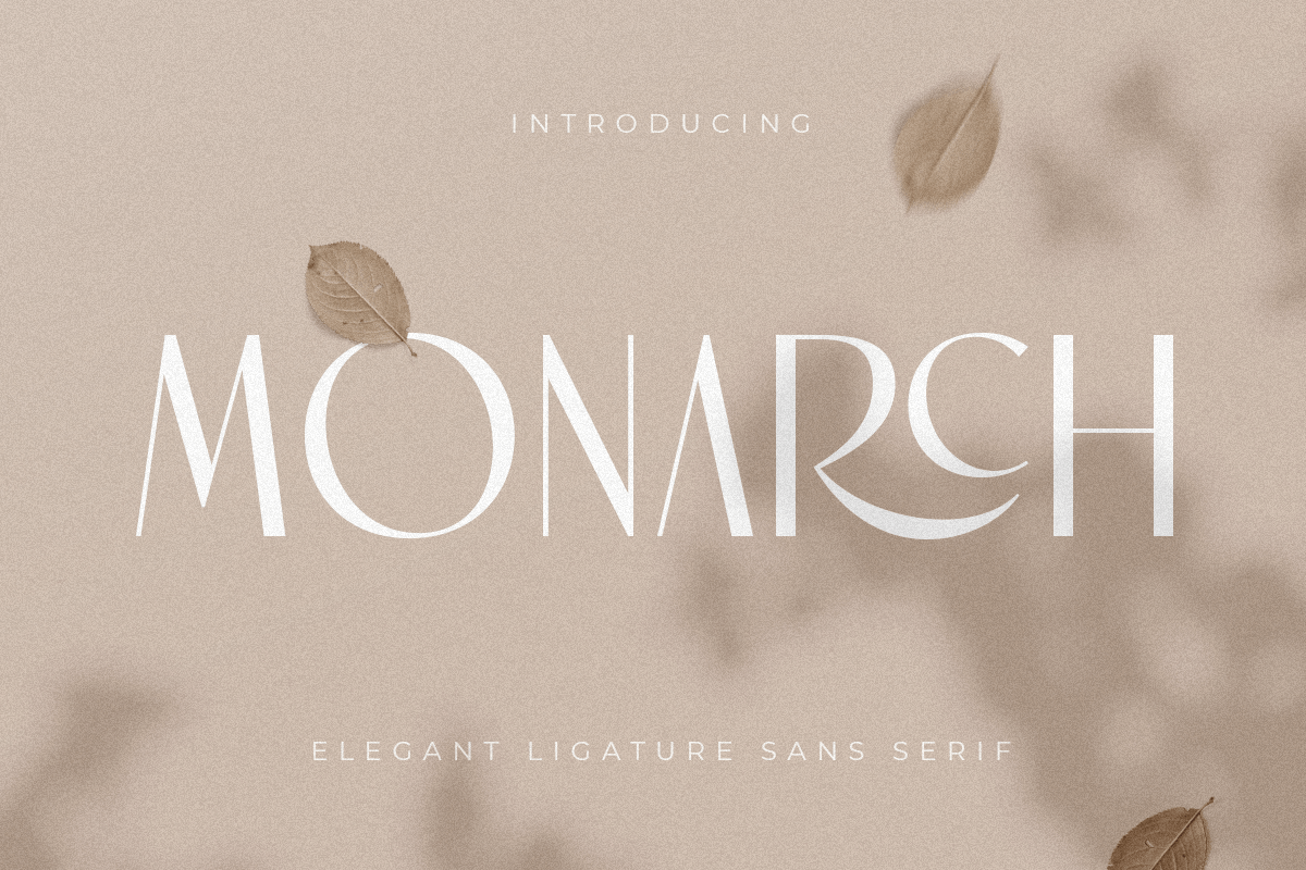 monarch_elegant_ligature_sans_serif_1_7HYNj0FskP.png