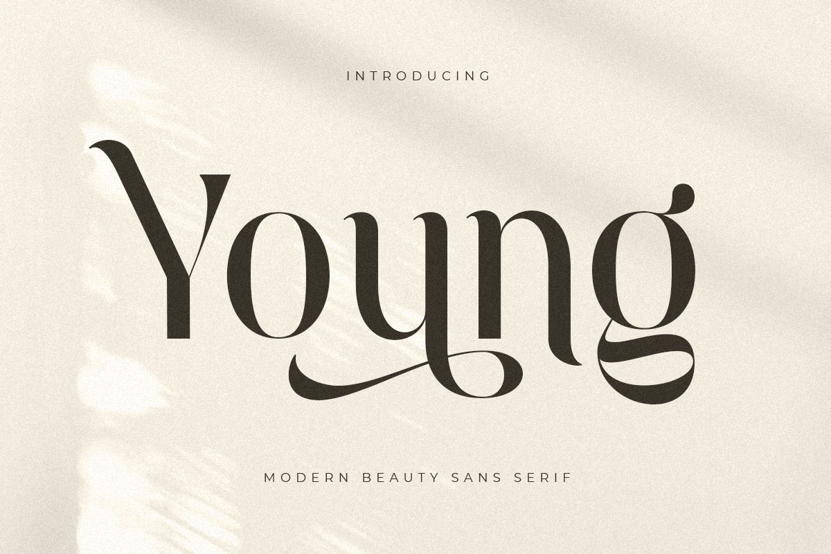 young_modern_beauty_sans_serif_1_opRetF2bGl.png