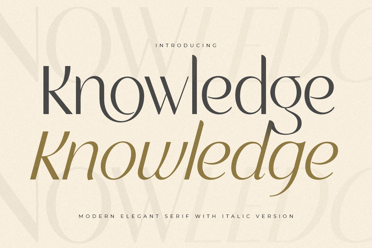 knowledge_modern_elegant_serif_with_italic_version_1_ezAH0xhMXe.png