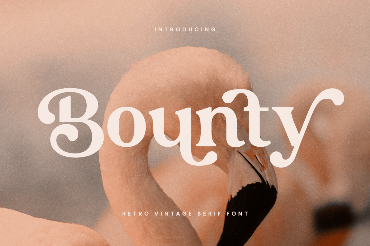 bounty_retro_vintage_serif_1_S85bgvOPe6.png